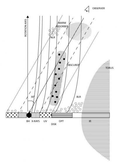 Cartoon of the Central Region of NGC 5548 (Not to Scale)