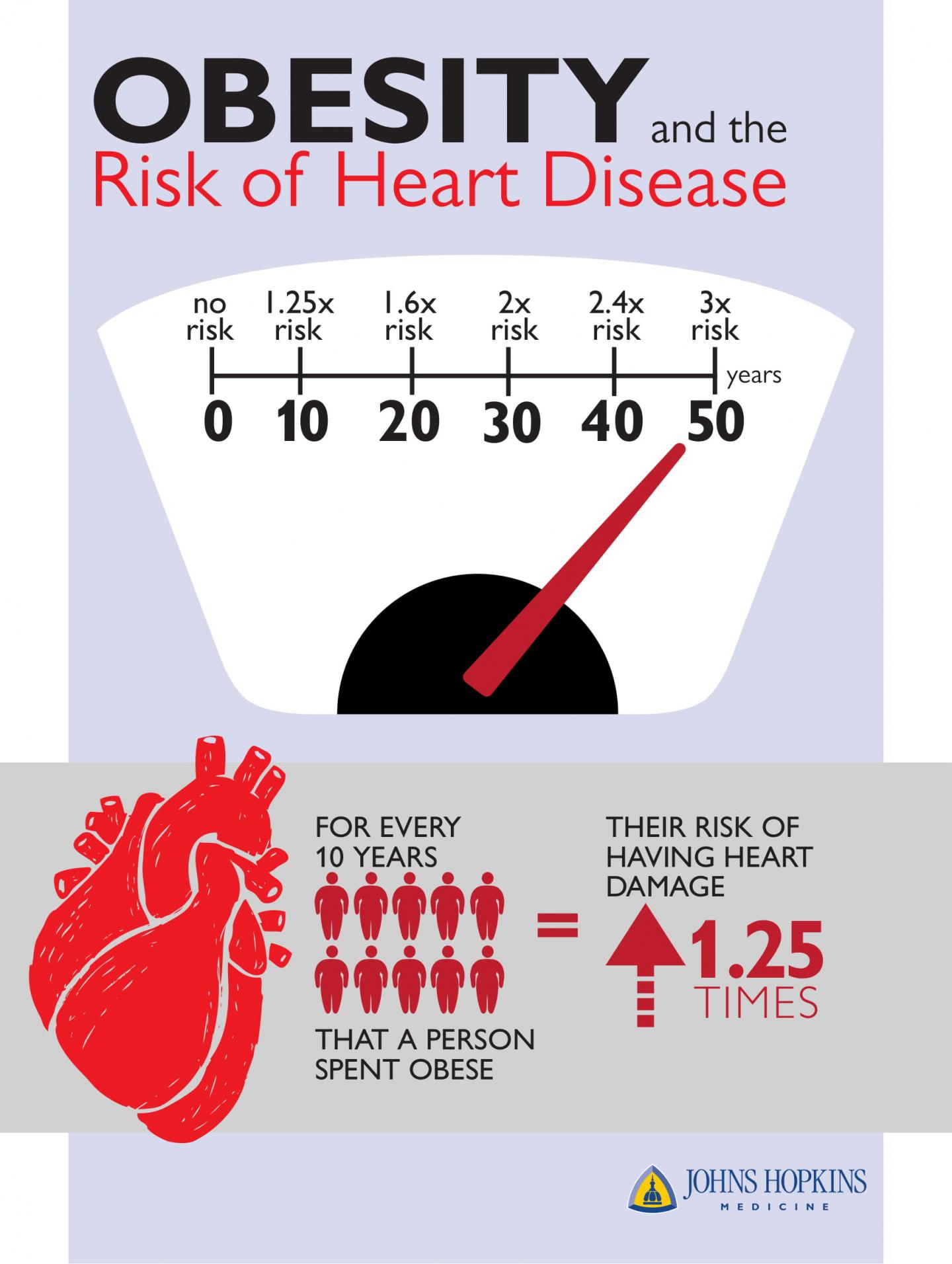 Heart Disease -- Obesity Infographic