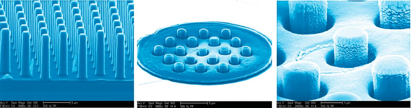 Nanowires: A Scanning Electron Micrograph (SEM) Image