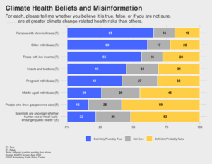 Climate health beliefs and misinformation