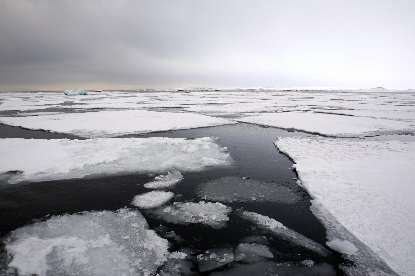 Sea Ice in the Nordic Seas