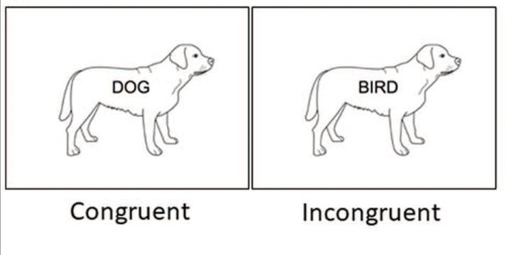 Picture-word Stroop