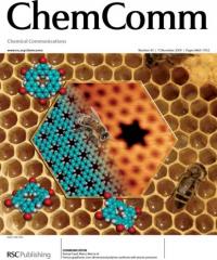 Artwork Illustrating the Honeycomb-like Porous Polymer
