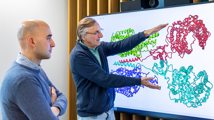 Dr. Hristo L. Svilenov und Prof. Dr. Johannes Buchner, Technische Universität München