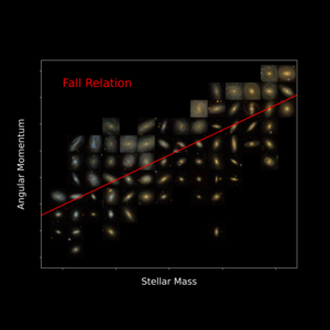 Fall Relation Plot