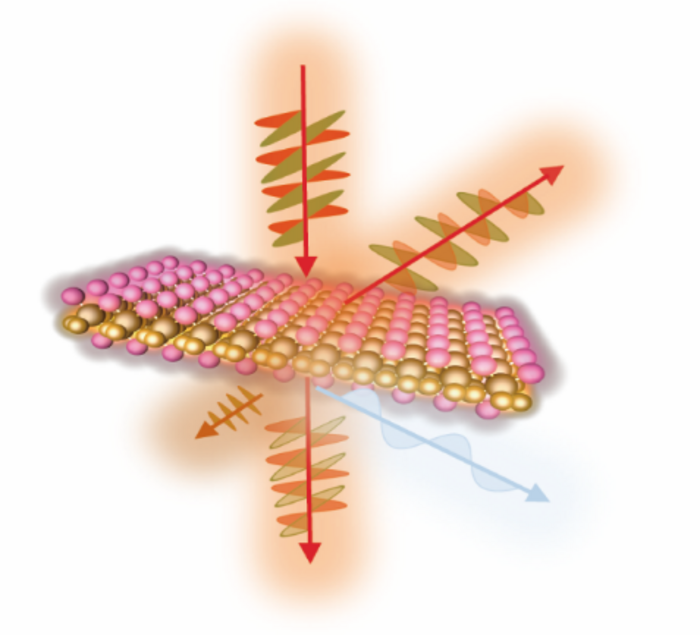 2D vanadium oxychloride (VOCl) demonstrates orientationally dependent optical properties.