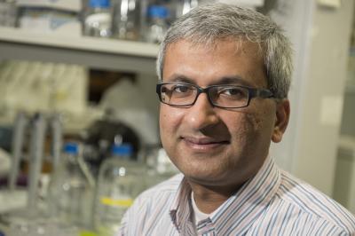 Deepak Nagarth, Rice University