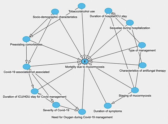 A figure demonstrating the directed acyclic graph demonstrating the relationship between potential risk factors of mortality due to mucormycosis