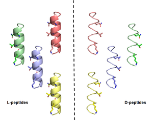 Sars-CoV-2 neutralising peptides