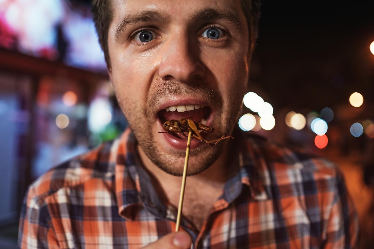 Man eating an insect