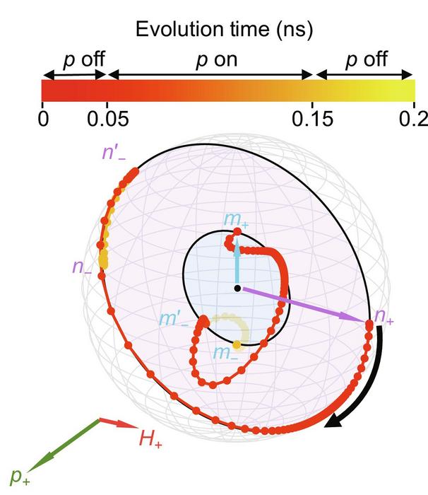 Figure 1 (b)