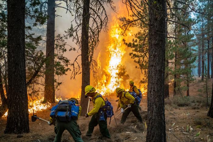 Firefighters working to protect wildlife habitat in extreme fire conditions