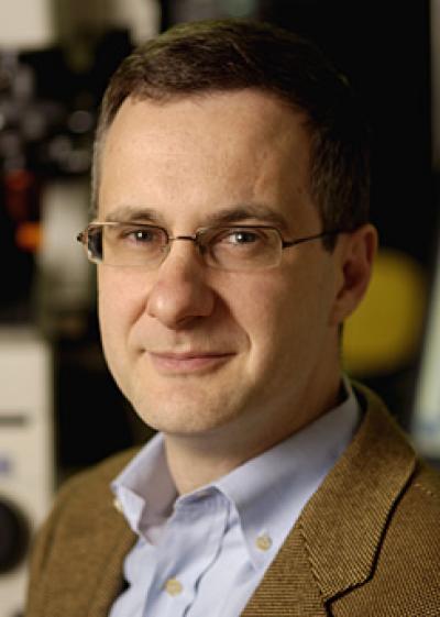 Denis Wirtz, Johns Hopkins University