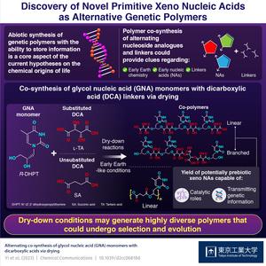 Discovery of Novel Primitive Xeno Nucleic Acids as Alternative Genetic Polymers