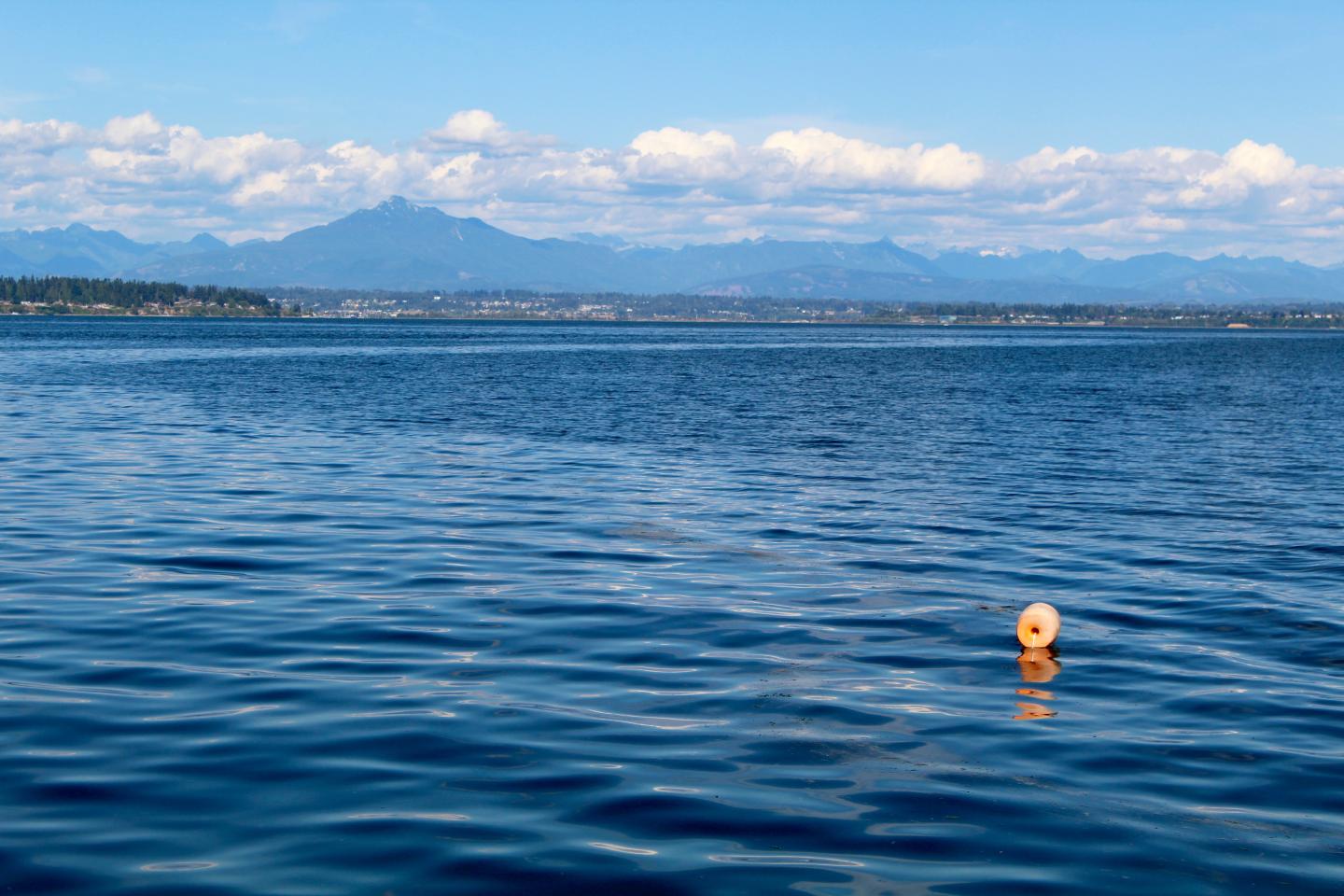 Looking to the Snohomish River Mouth from Possession Sound, Wash.