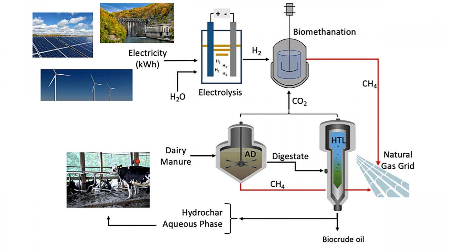 Integrated biorefinery approach utilizing agriculture waste biomass