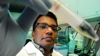 Anilkumar Pillai, Medical College of Georgia at Georgia Regents University