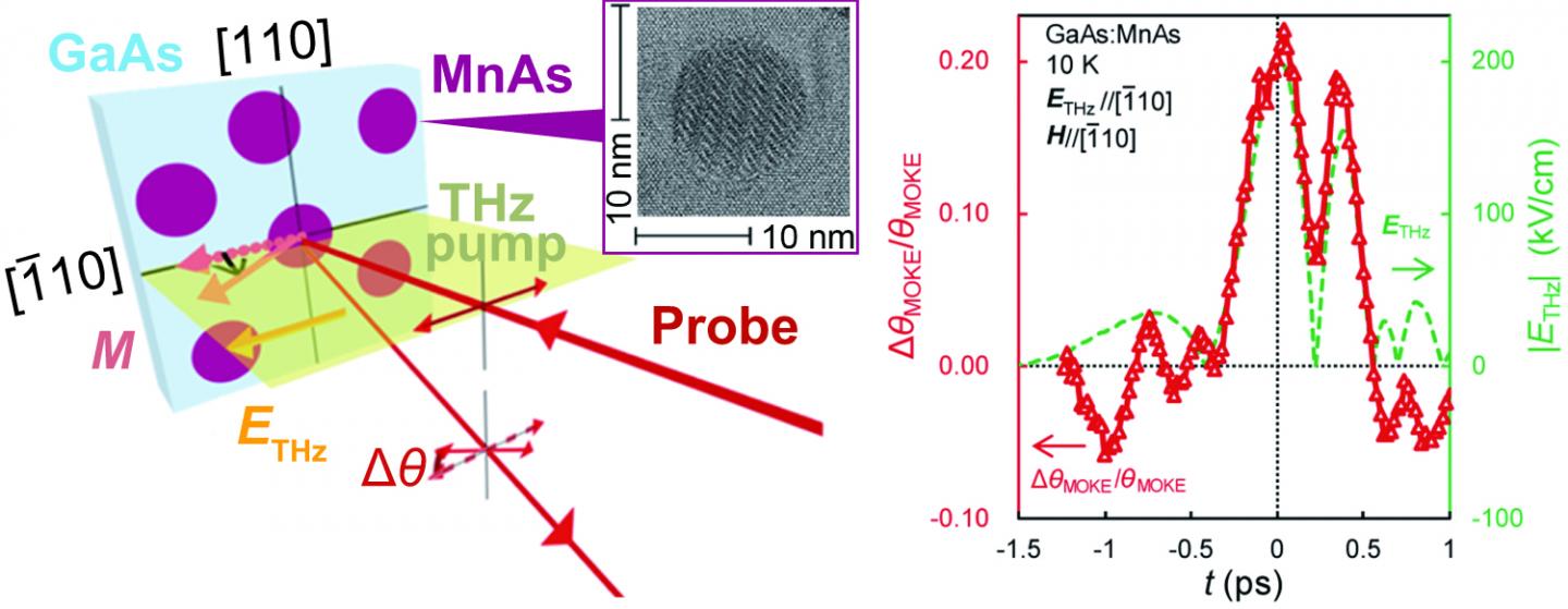 Terahertz Pump Pulse