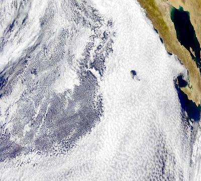 Clouds over Northeast Pacific