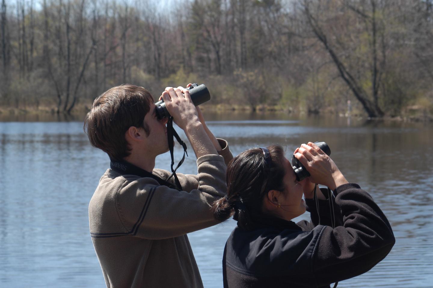 Birdwatchers