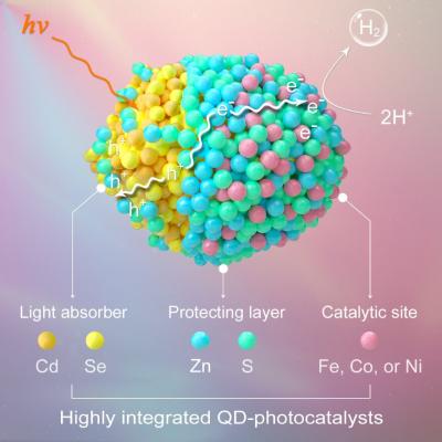 Schematic Diagram 