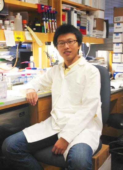 Xingtian Xu, University of Southern California