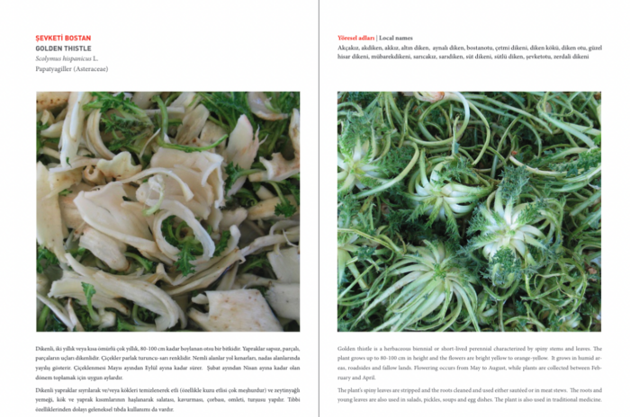 Turkish book documents local recipes