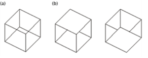 The Necker cube stimulus