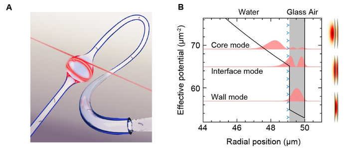 Optofluidic microbubble cavity for interfacial molecular detection