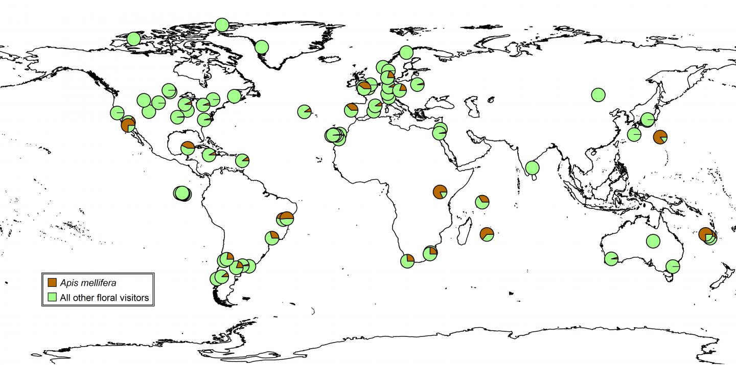 Global Influence