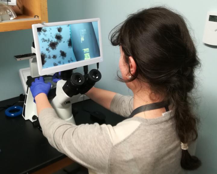 A Student in the 'Applications of Organoid Technology' Course
