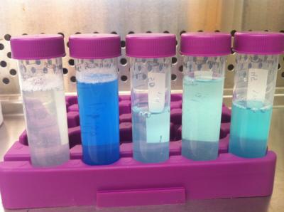 Samples in Test Tubes