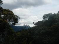 Canopy Tower in Nyungwe National Park