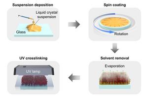 [Figure 3] Fabrication schematic of the colorful radiation-cooled liquid crystal material