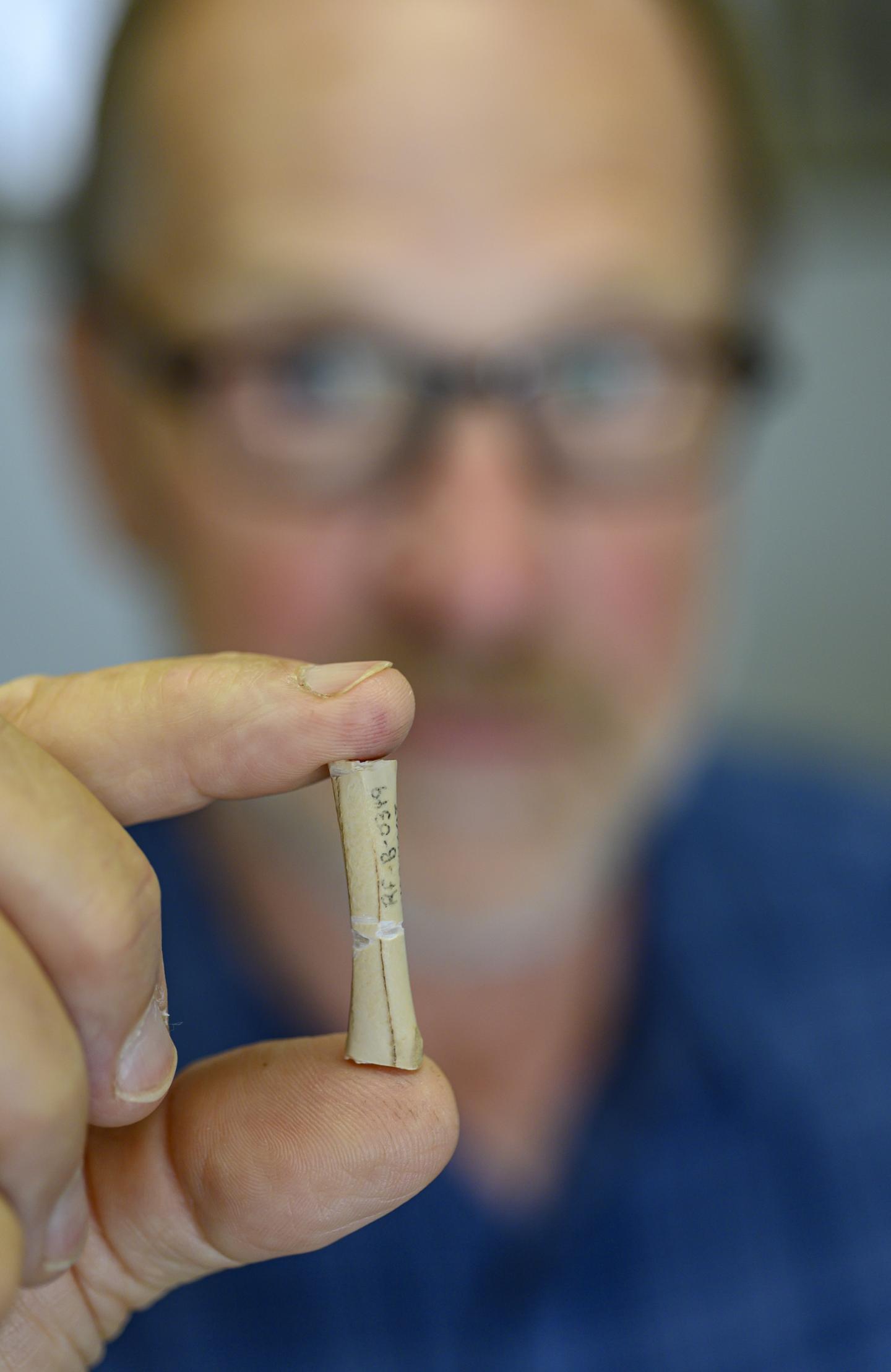 2,500-Year-Old Bird Femur Yields DNA