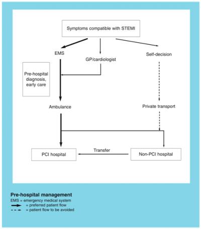 Pre-Hospital Management Diagram