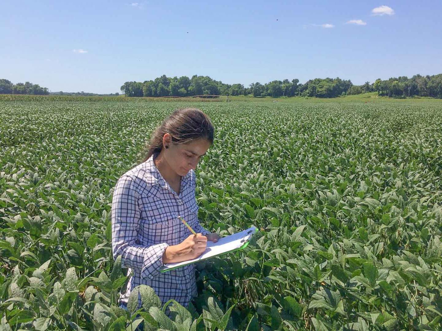 Mirian Pimentel in the Field