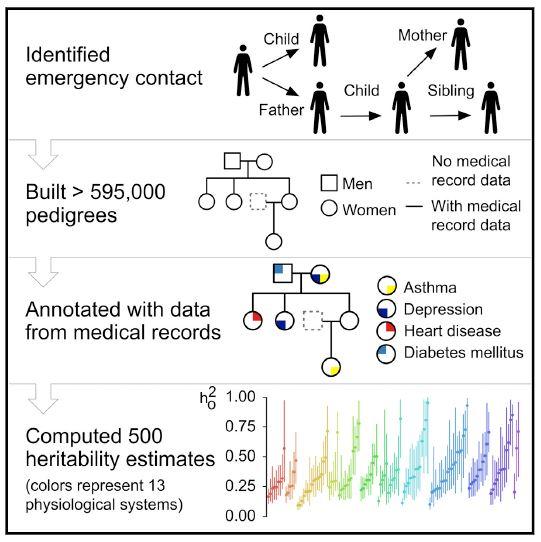 Health Records Graphical Abstract