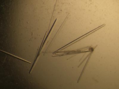 OIF Protein Crystals