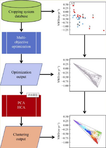 A new design of sustainable cropping diversifications