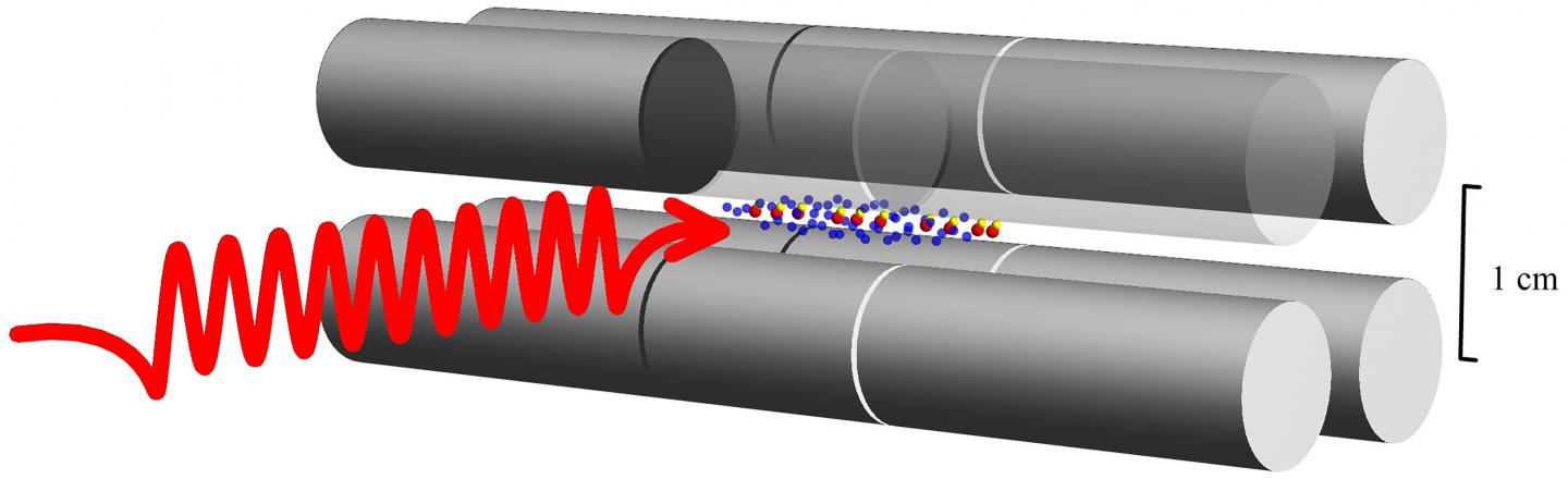 HD+ molecular ions in ion trap