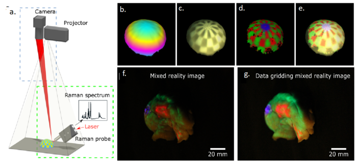 Raman-based molecular virtuality imaging