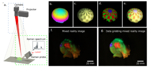 Raman-based molecular virtuality imaging