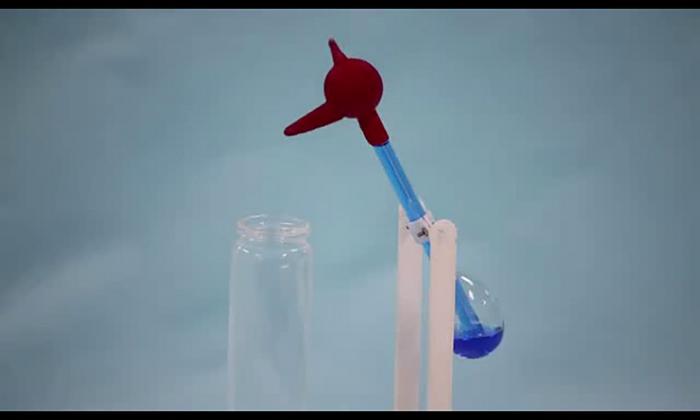 Drinking bird