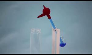 Drinking bird