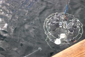 CTD rosette – a device equipped with sensors and bottles to collect water samples and measure different properties of the ocean at various depths