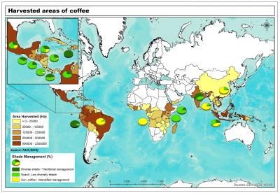 Coffee Management Map