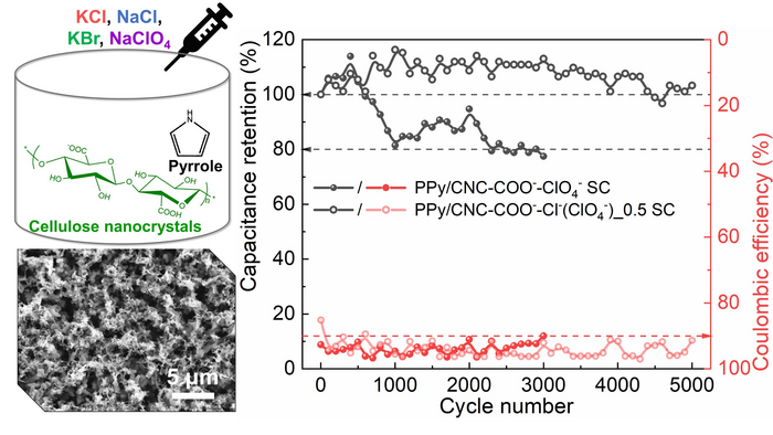 Interconnected and high cycling stability polypyrrole supercapacitors using cellulose nanocrystals and commonly used inorganic salts as dopants