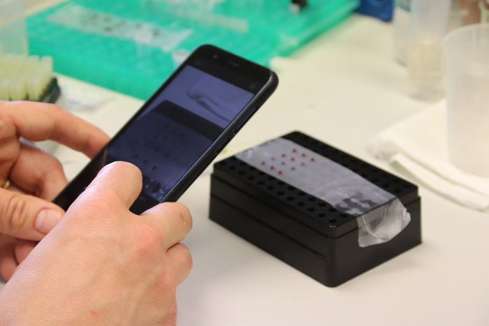 Researchers Develop a Test That Uses a Cell Phone to Simply and Quickly Detect Gluten in Food