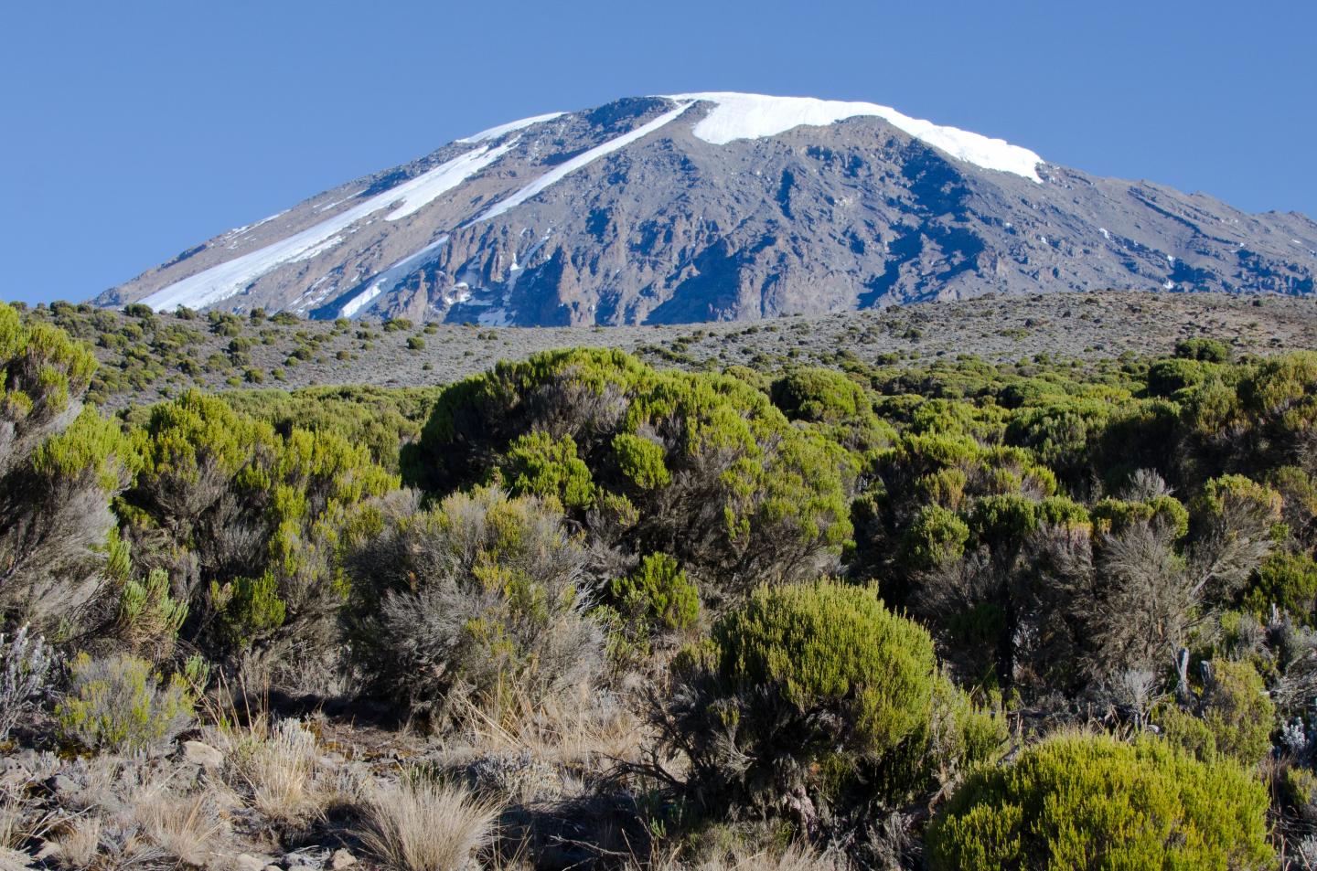 Three Glaciers on Kibo, the Highest Peak of Kilimanjaro